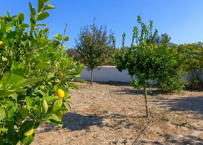 Villa Galini Charaki